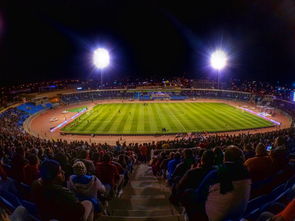 半岛官方体育登录入口-阿尔希拉尔防守反击战术成亮点，挑战欧洲豪强